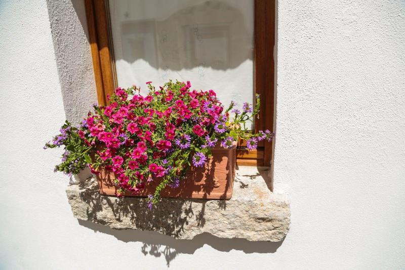 Olbia Domus Inn Εξωτερικό φωτογραφία